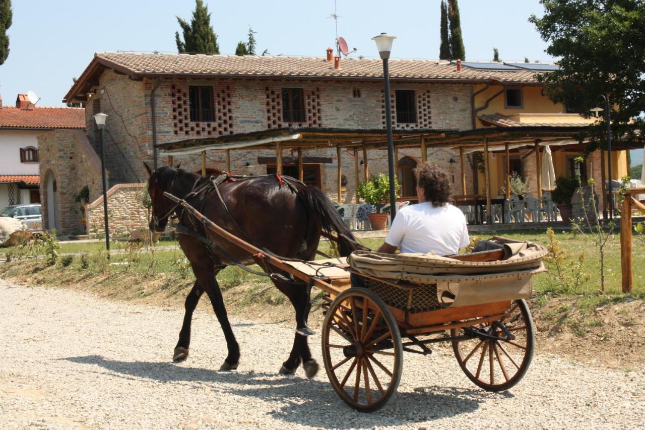 Agriturismo La Colombaia Villa วิคคิโอ ภายนอก รูปภาพ