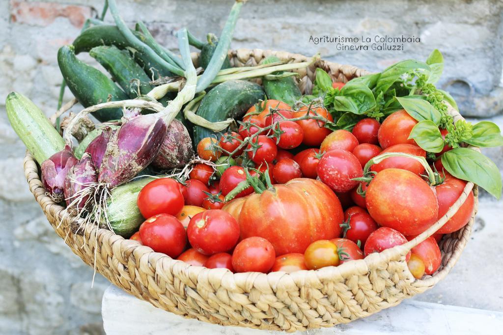 Agriturismo La Colombaia Villa วิคคิโอ ภายนอก รูปภาพ