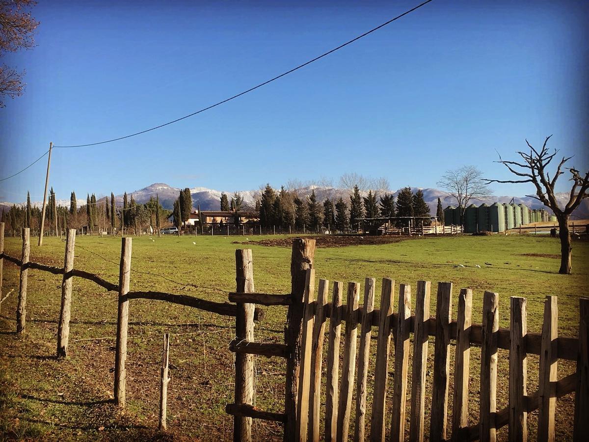 Agriturismo La Colombaia Villa วิคคิโอ ภายนอก รูปภาพ