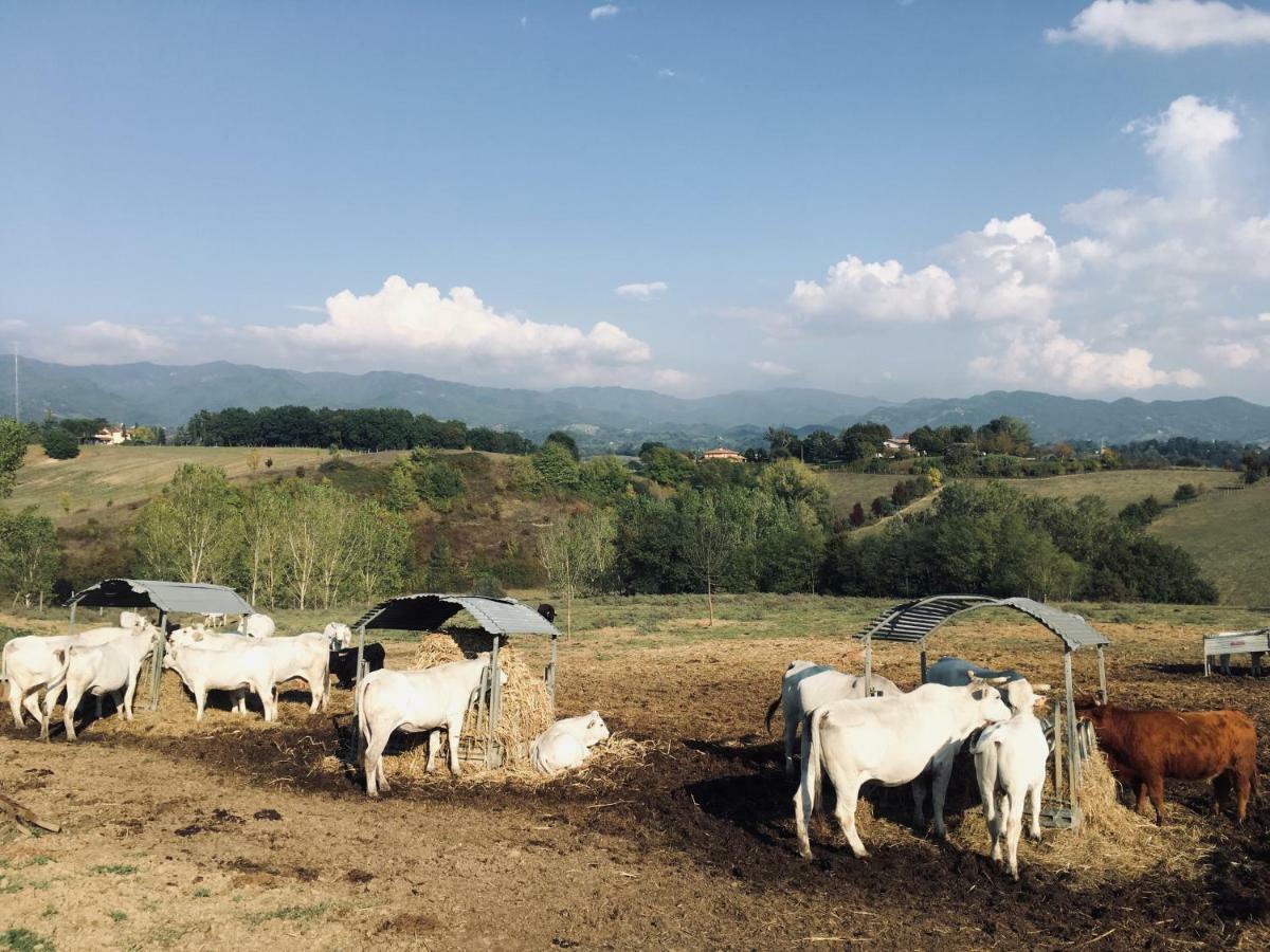 Agriturismo La Colombaia Villa วิคคิโอ ภายนอก รูปภาพ